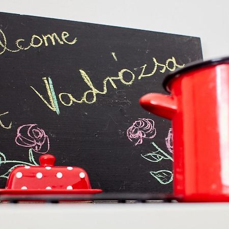 Vadrozsa Vendeghaz Racalmas Pensionat Exteriör bild